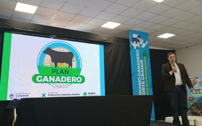 PLAN GANADERO PROVINCIAL TRIPLICÓ EL 2022 LA ASISTENCIA A PRODUCTORES
