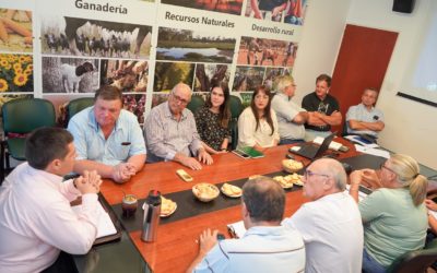 PROPONEN DECLARAR LA EMERGENCIA AGROPECUARIA EN 6 DEPARTAMENTOS DEL CHACO, ANTE LA OLA DE CALOR Y EL DÉFICIT HÍDRICO