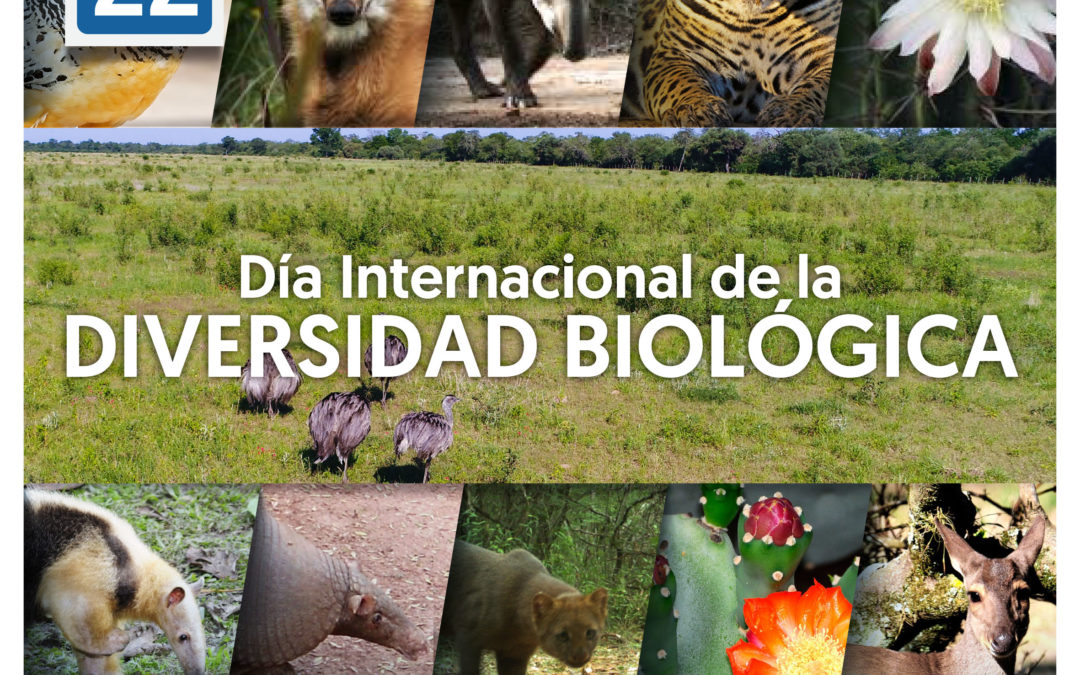 22 de Mayo – Dia Internacional de la Diversidad Biologica